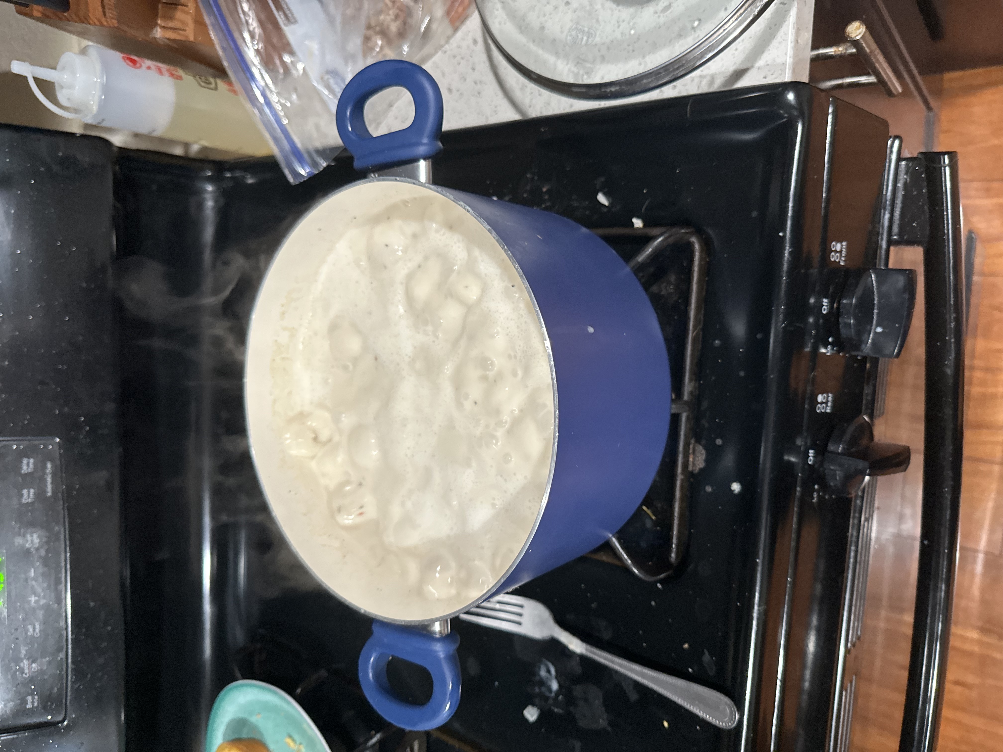 Homestyle Chicken Noodle Soup